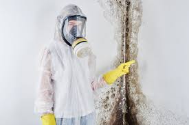 Best Biohazard Mold Removal  in West Modesto, CA